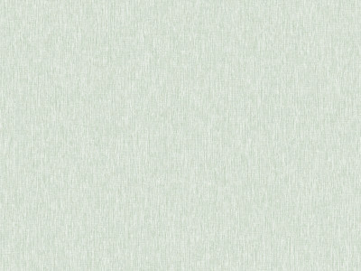 10117