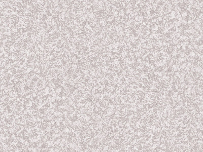 10294