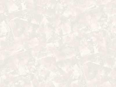AN8646-13