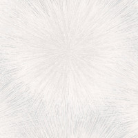 NA8743-21