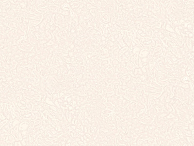 NA8762-22