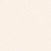 NA8762-22