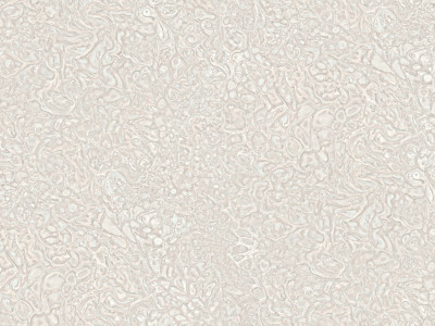 NA8762-23