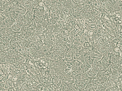 NA8762-24