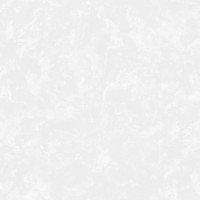 NA8786-11